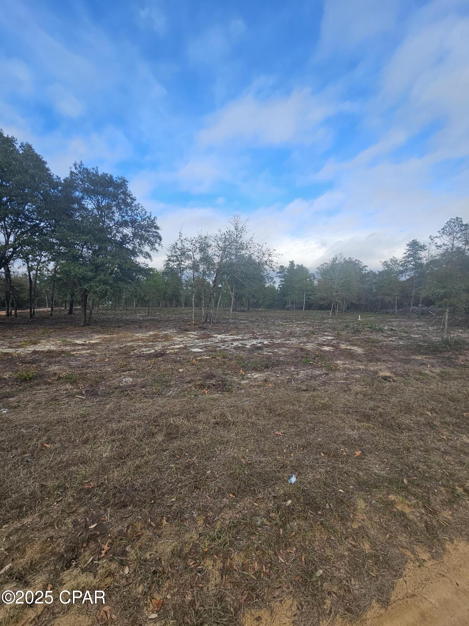 10433 Western Road Fountain, FL 32438 - Photo 9 of 11