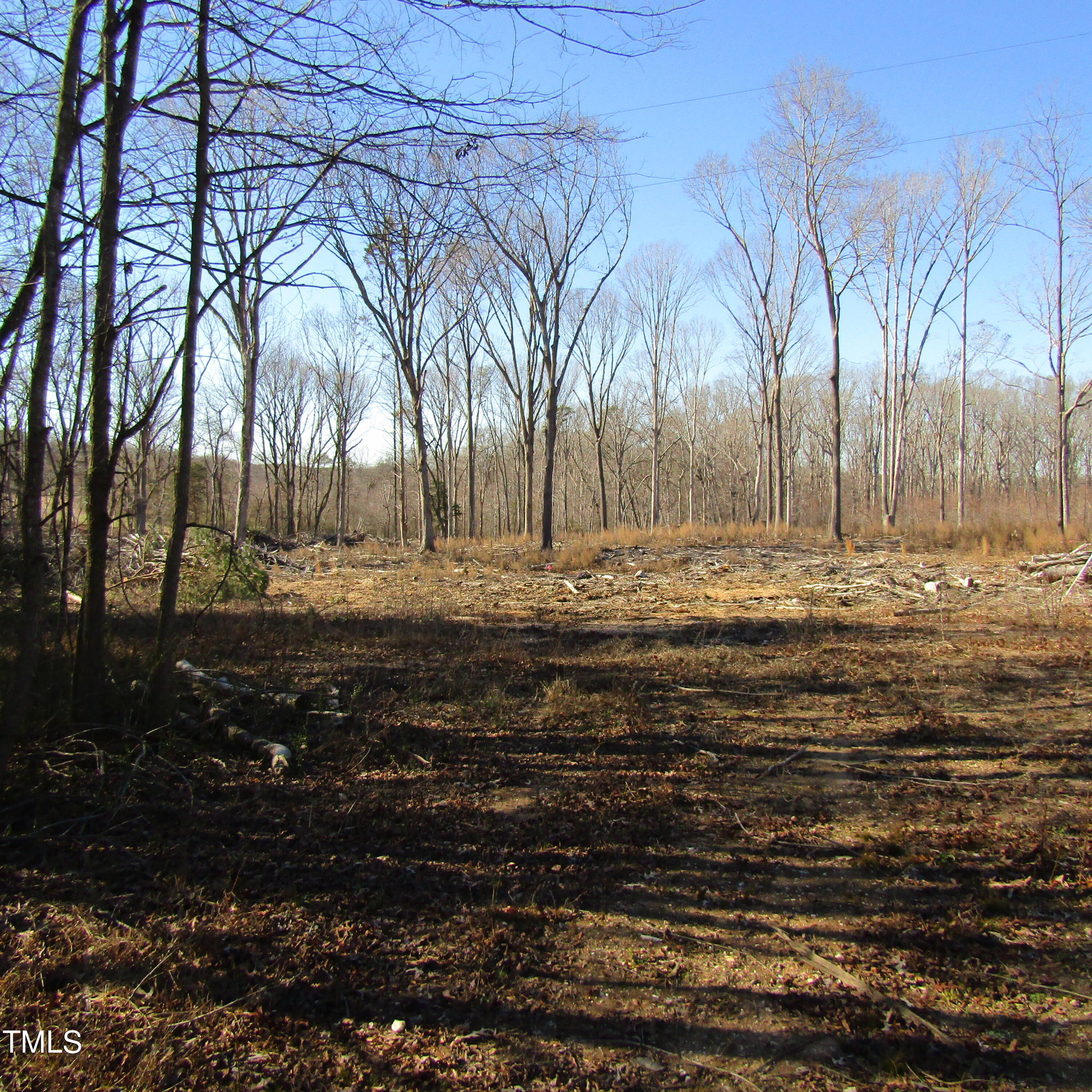 0 Bent Ridge Road Seagrove, NC 27341 - Photo 17 of 22 a view of dirt yard with large trees