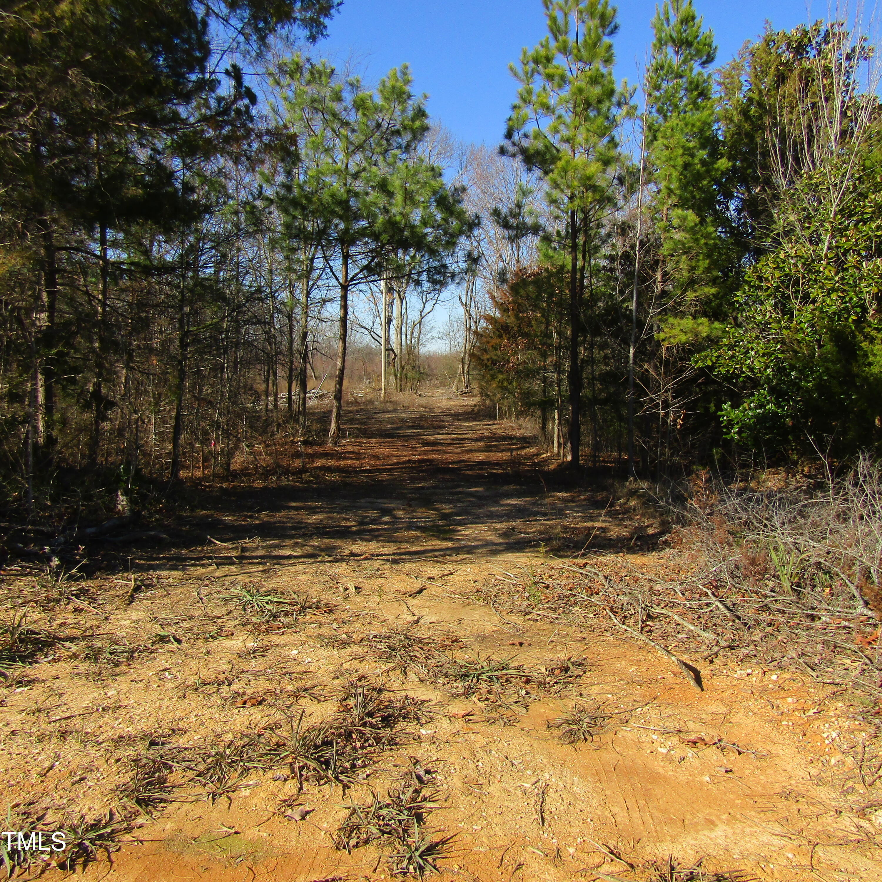 0 Bent Ridge Road Seagrove, NC 27341 - Photo 4 of 22 a view of backyard of the house