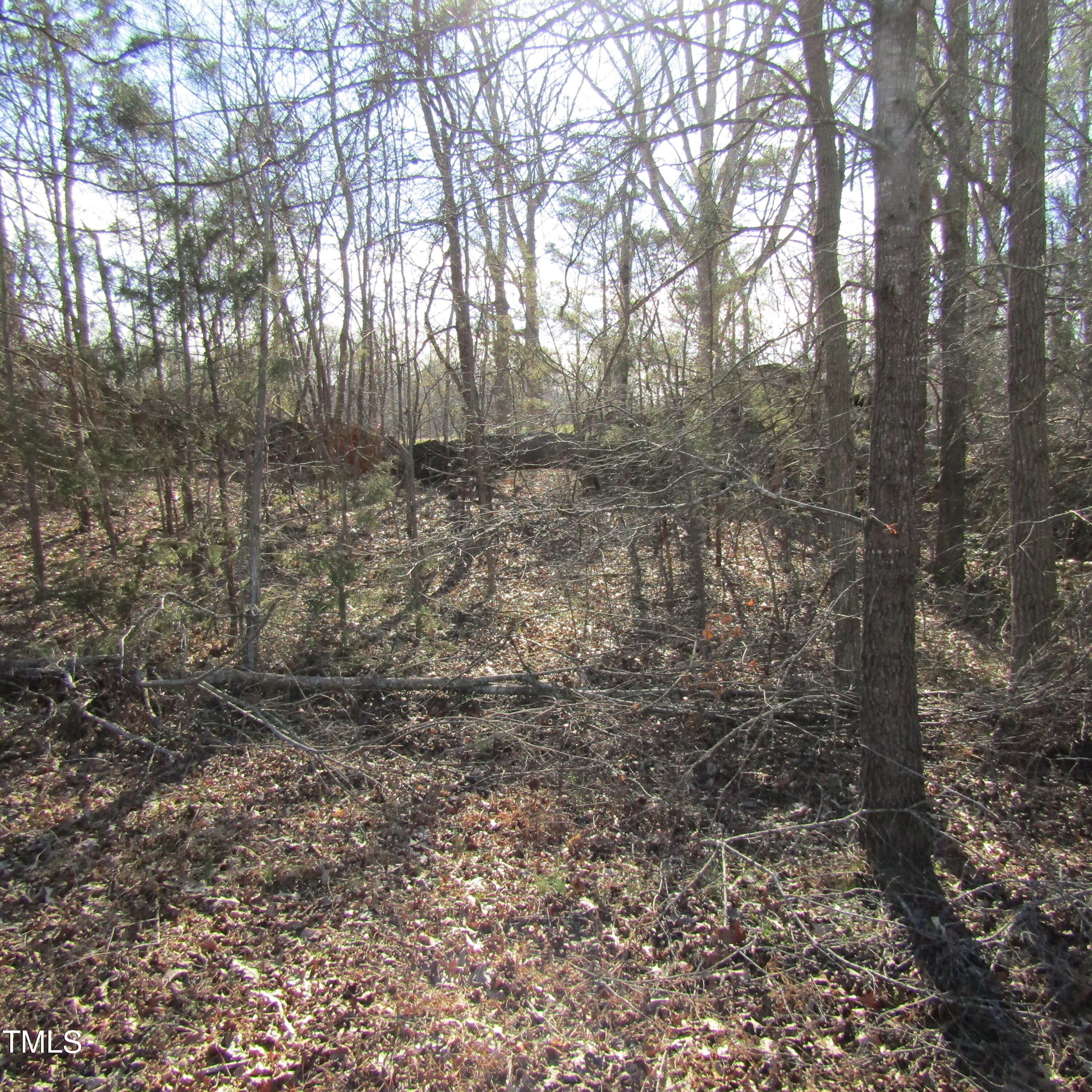 0 Bent Ridge Road Seagrove, NC 27341 - Photo 5 of 22 a view of a yard with trees in the background