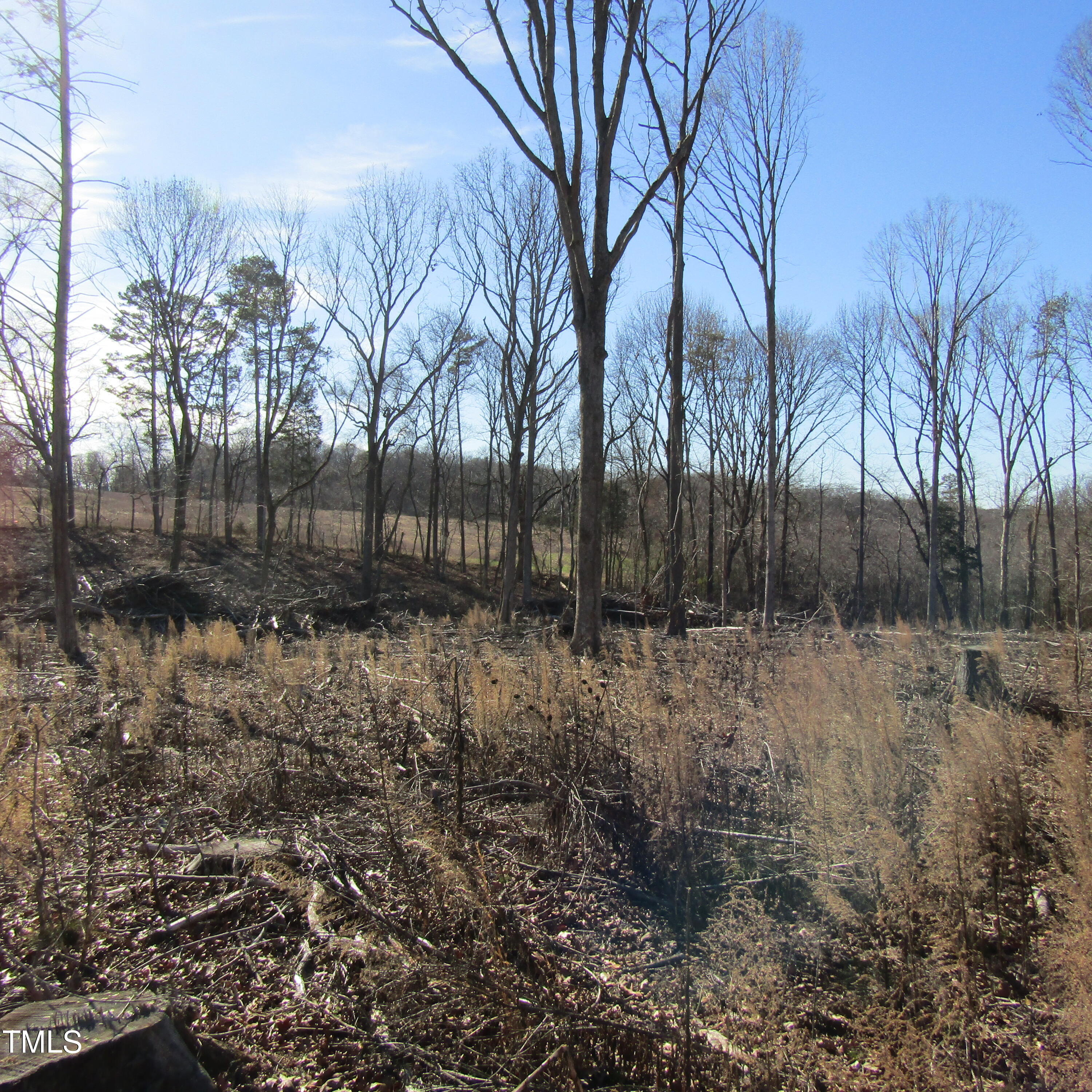 0 Bent Ridge Road Seagrove, NC 27341 - Photo 7 of 22 a view of a yard