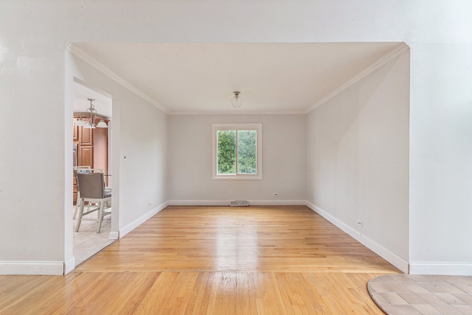 21008 Apollo Circle Olympia Fields, IL 60461 - Photo 11 of 46