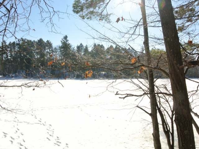 Lot 4 Lower Kaubashine Road Hazelhurst, WI 54531 - Photo 10 of 12 Gallery Image 10