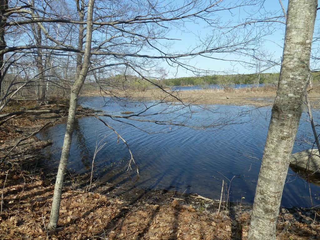 0 Varney Ml Road Bath, ME 04530 - Photo 13 of 28 Photo