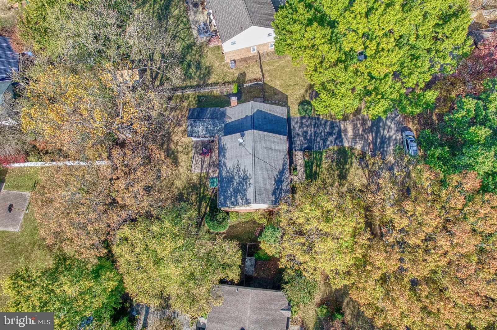 15312 Durant Street Silver Spring, MD 20905 - Photo 11 of 64 a view of a pathway of a building with large trees