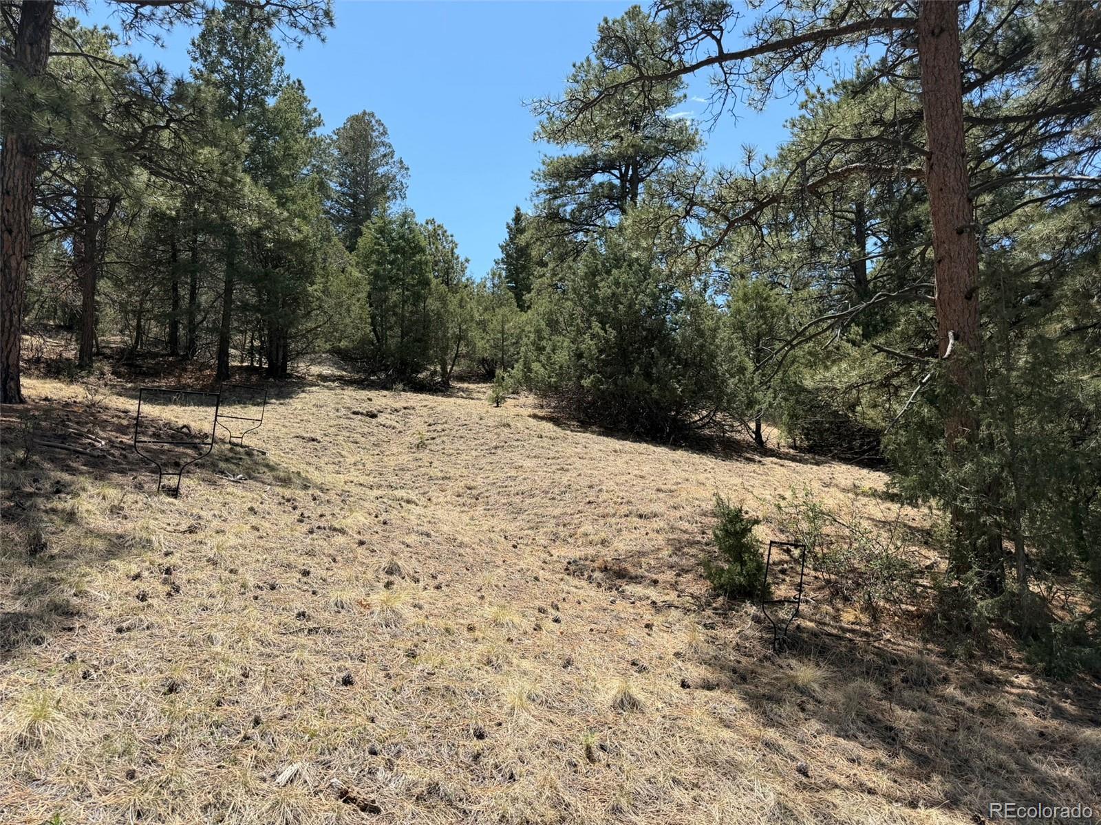 477 Bear Peak Road Westcliffe, CO 81252 - Photo 28 of 39