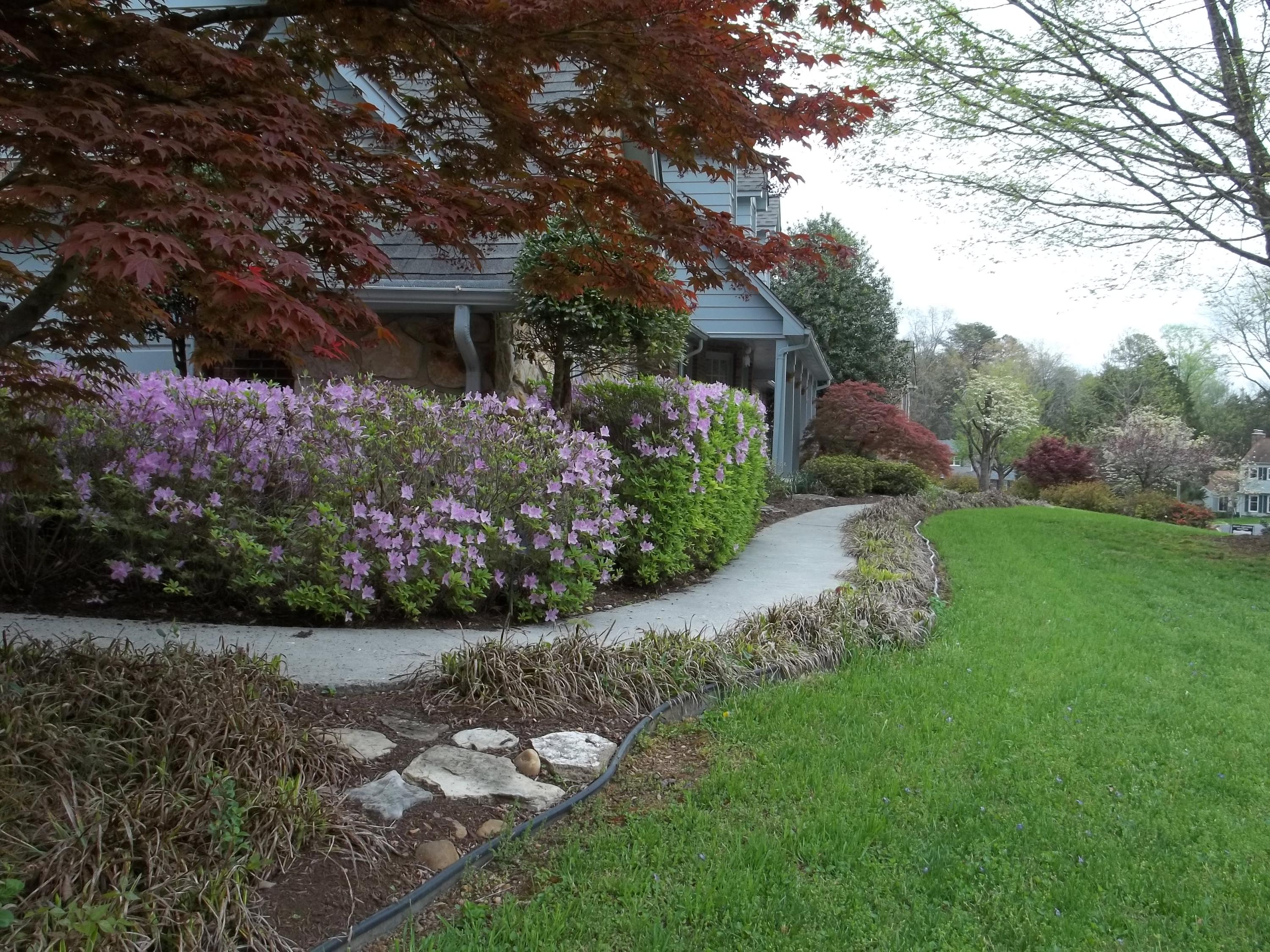 130 Amanda Drive Oak Ridge, TN 37830 - Photo 4 of 39 100_7272
