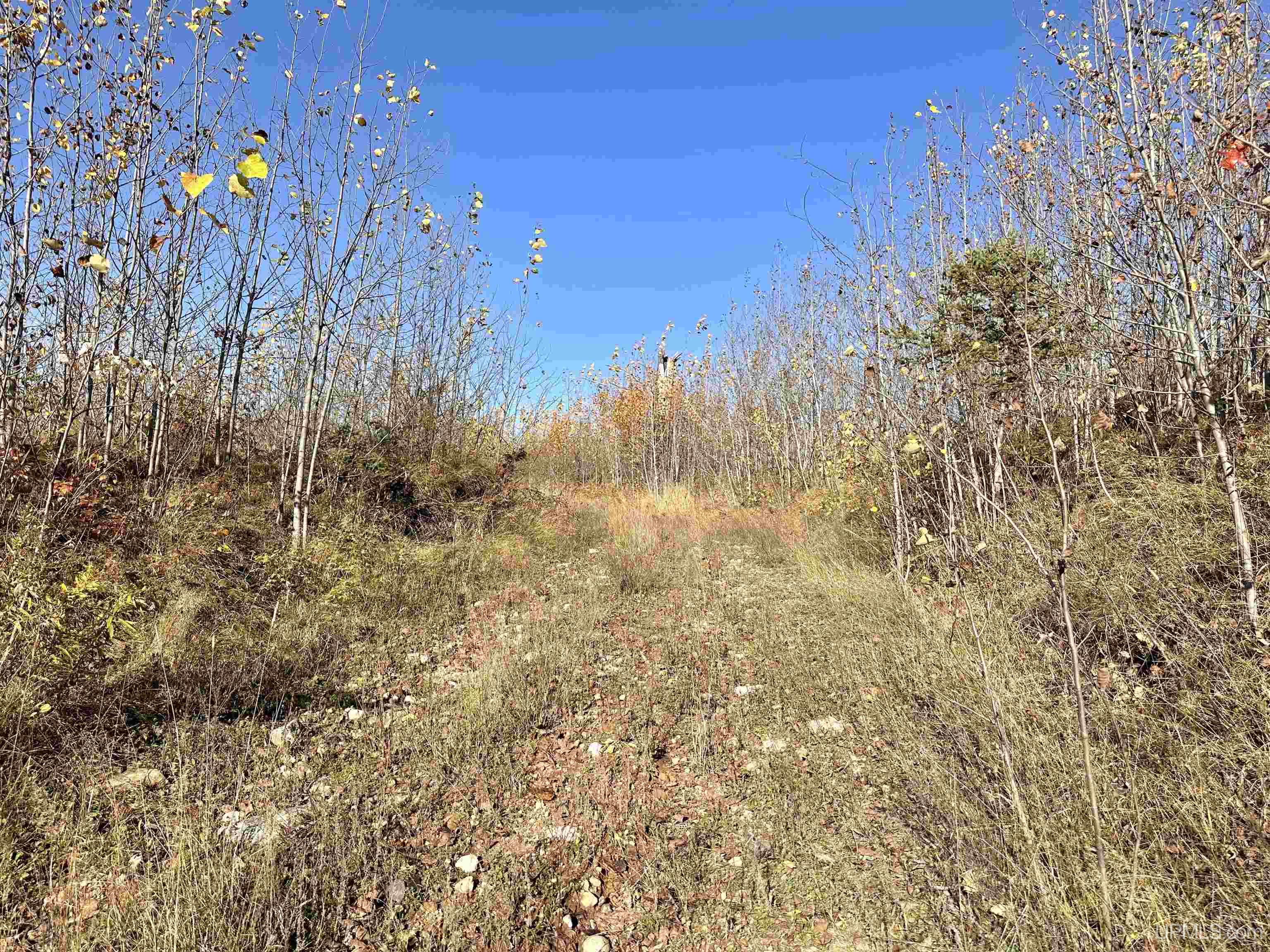 W8220 Co Road Vulcan, MI 49892 - Photo 6 of 14