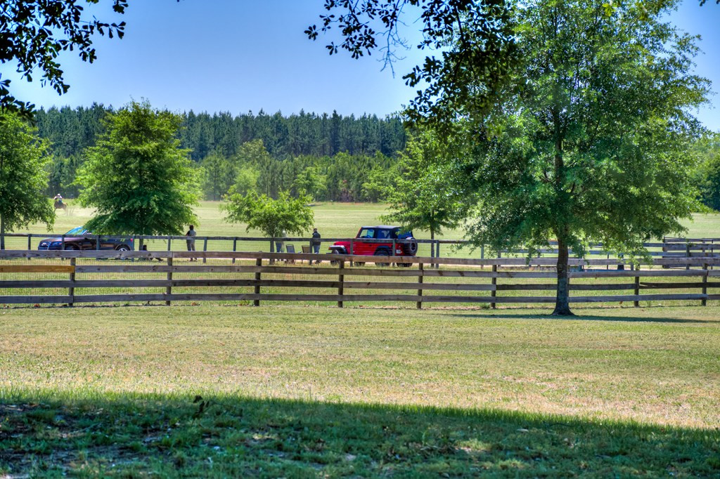 490 Big Tree Road Salley, SC 29137 - Photo 7 of 68