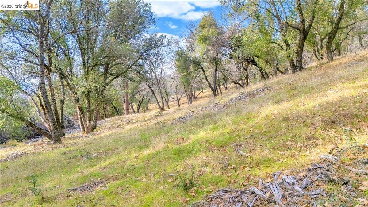 0 Montgomery Road Sonora, CA 95370 - Photo 18 of 31 Gallery Image 18