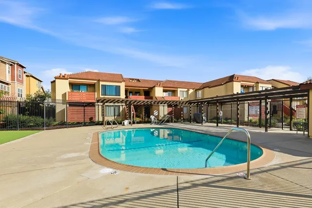a view of a garden with plants