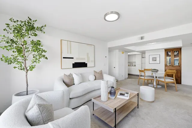 a living room with furniture and a potted plant
