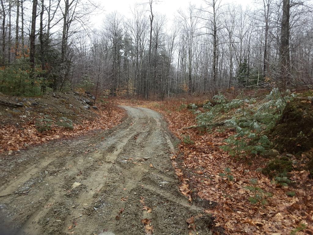 Lot 1 Sugar Hill Road Hopkinton, NH 03229 - Photo 3 of 11 Gallery Image 3