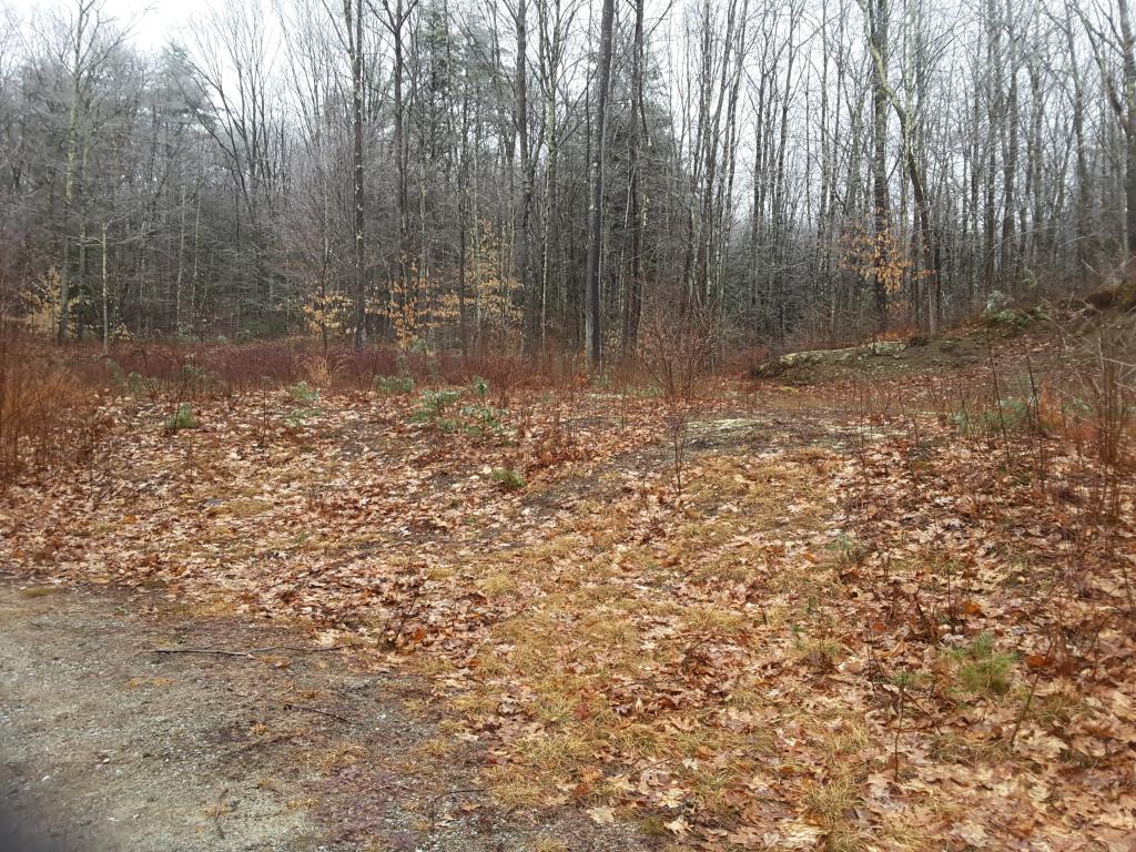 Lot 1 Sugar Hill Road Hopkinton, NH 03229 - Photo 8 of 11 Gallery Image 8