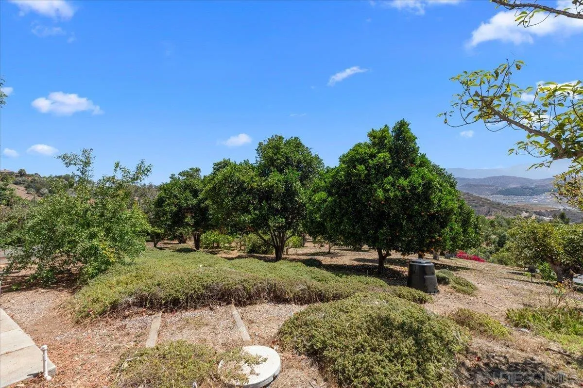2539 Wilt Road Fallbrook, CA 92028 - Photo 54 of 61
