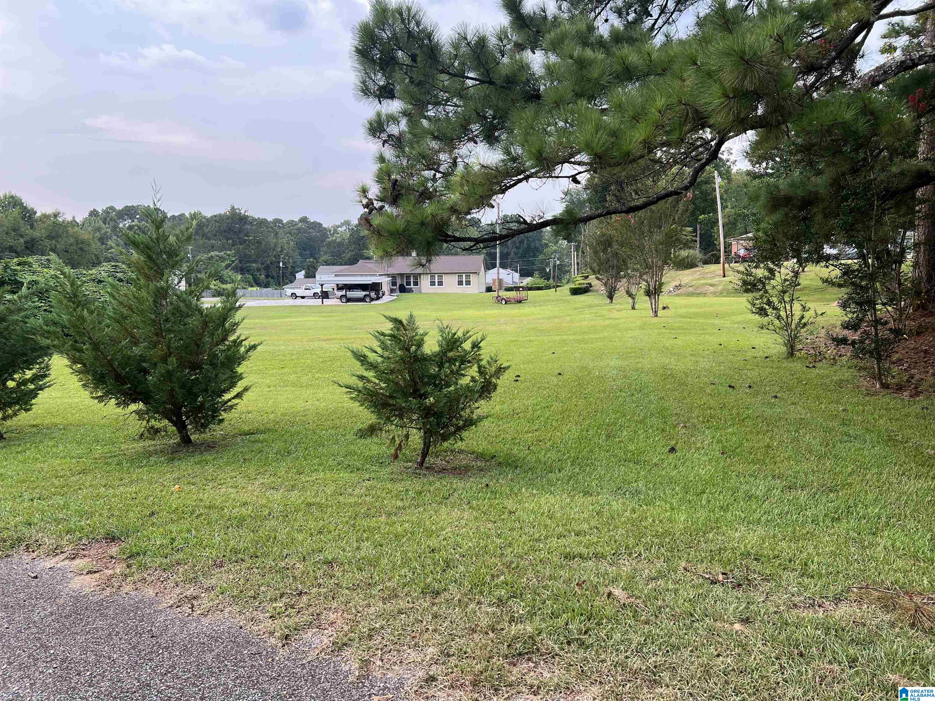 Lindsey Street Sylacauga, AL 35150 - Photo 1 of 5