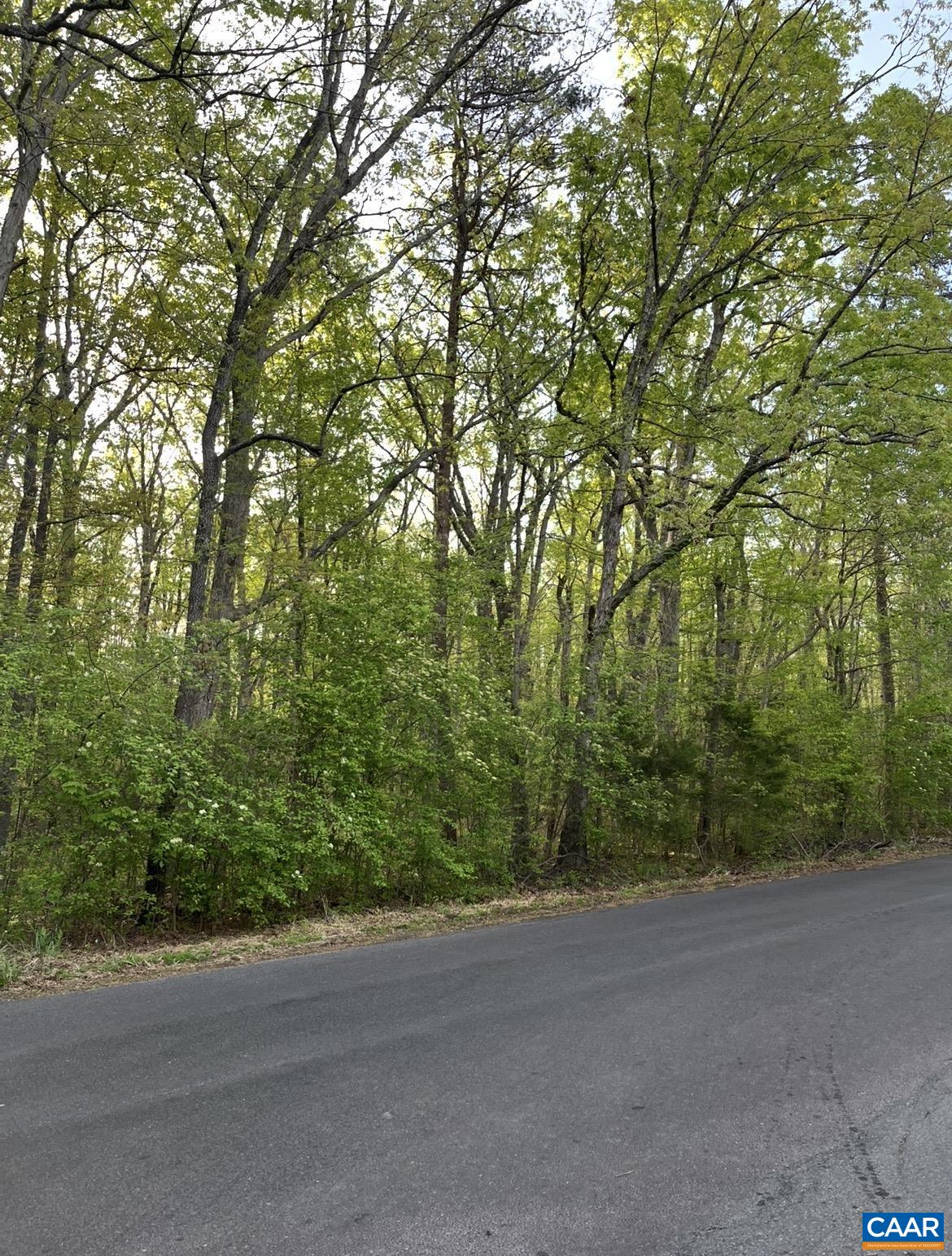 Black Walnut Run Road Rhoadesville, VA 22542 - Photo 4 of 4