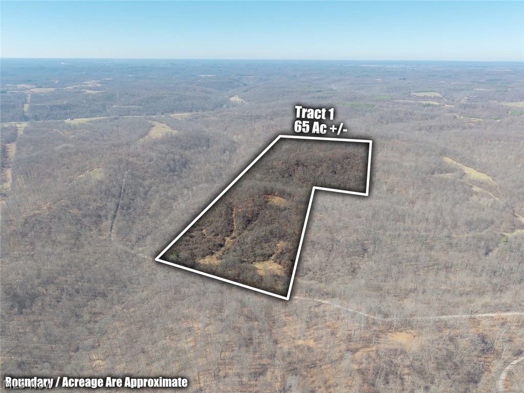 0 Clem Garvin Road Caldwell, OH 43724 - Photo 2 of 50 View of property location featuring property boundaries highlighted