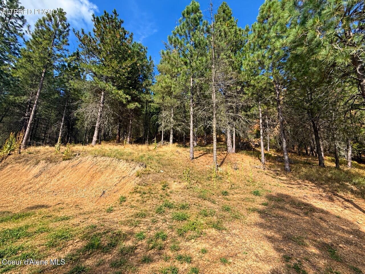 2972 South Fork Ridge Kingston, ID 83839 - Photo 4 of 12 Chat clean up 5