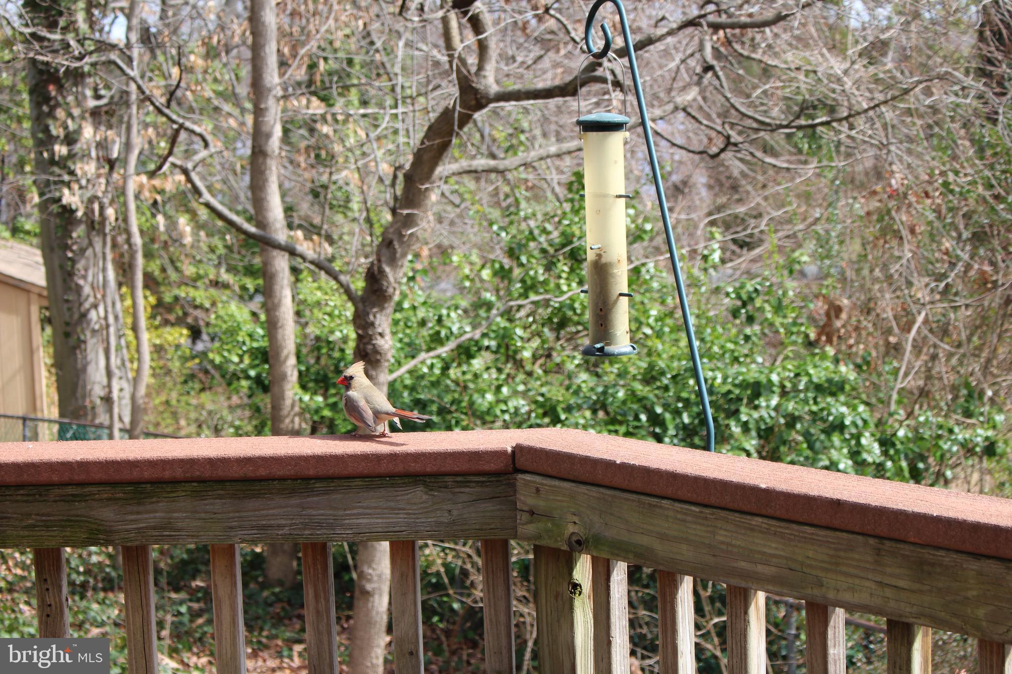 18413 Cabin Road Triangle, VA 22172 - Photo 27 of 35 Gallery Image 27