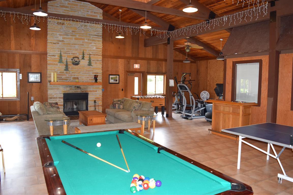 L6 Grand Pines Circle Wisconsin Dells, WI 53965 - Photo 15 of 47