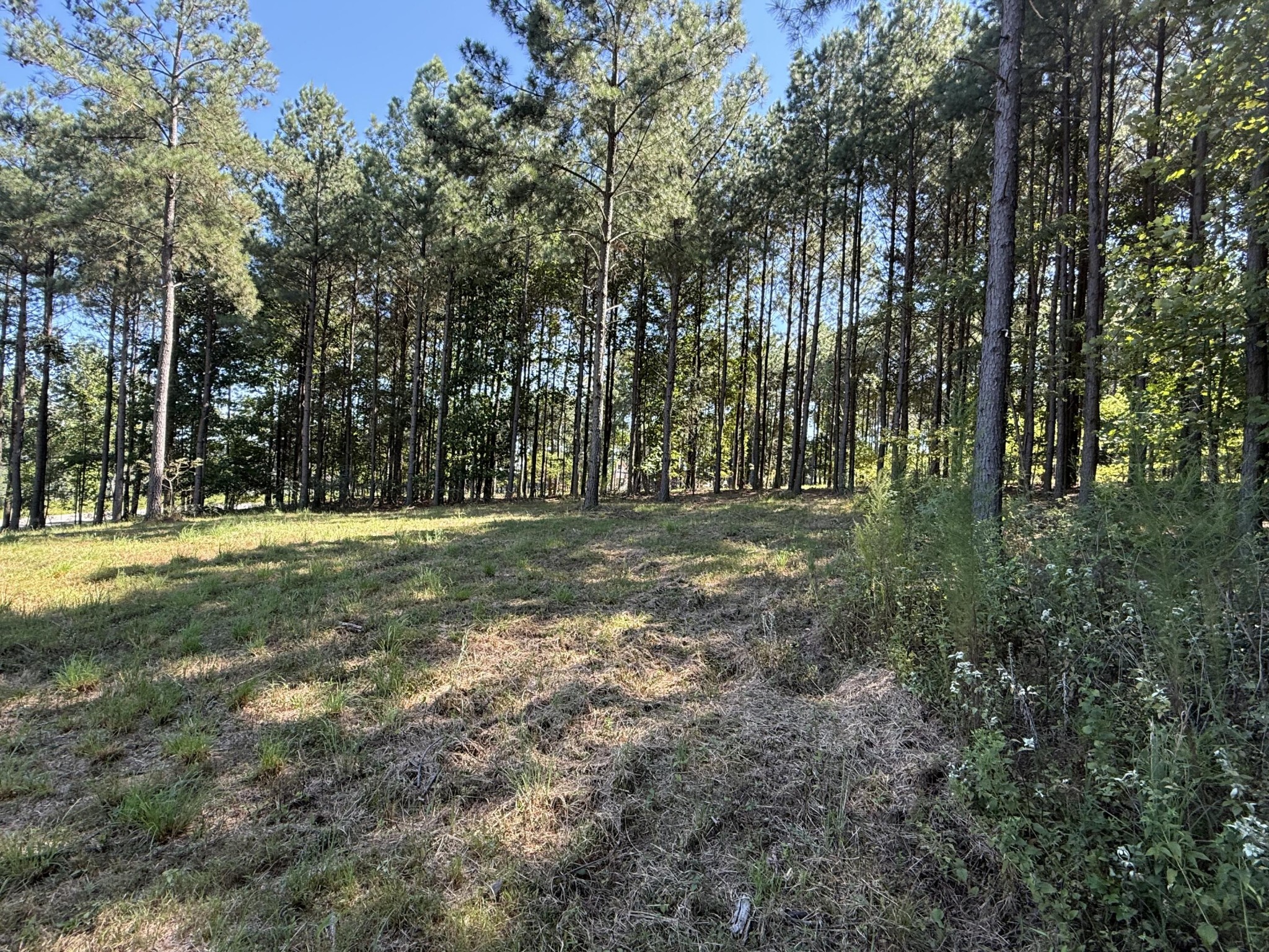 350 Crockett Loop Jasper, TN 37347 - Photo 21 of 55 a view of outdoor space with trees all around