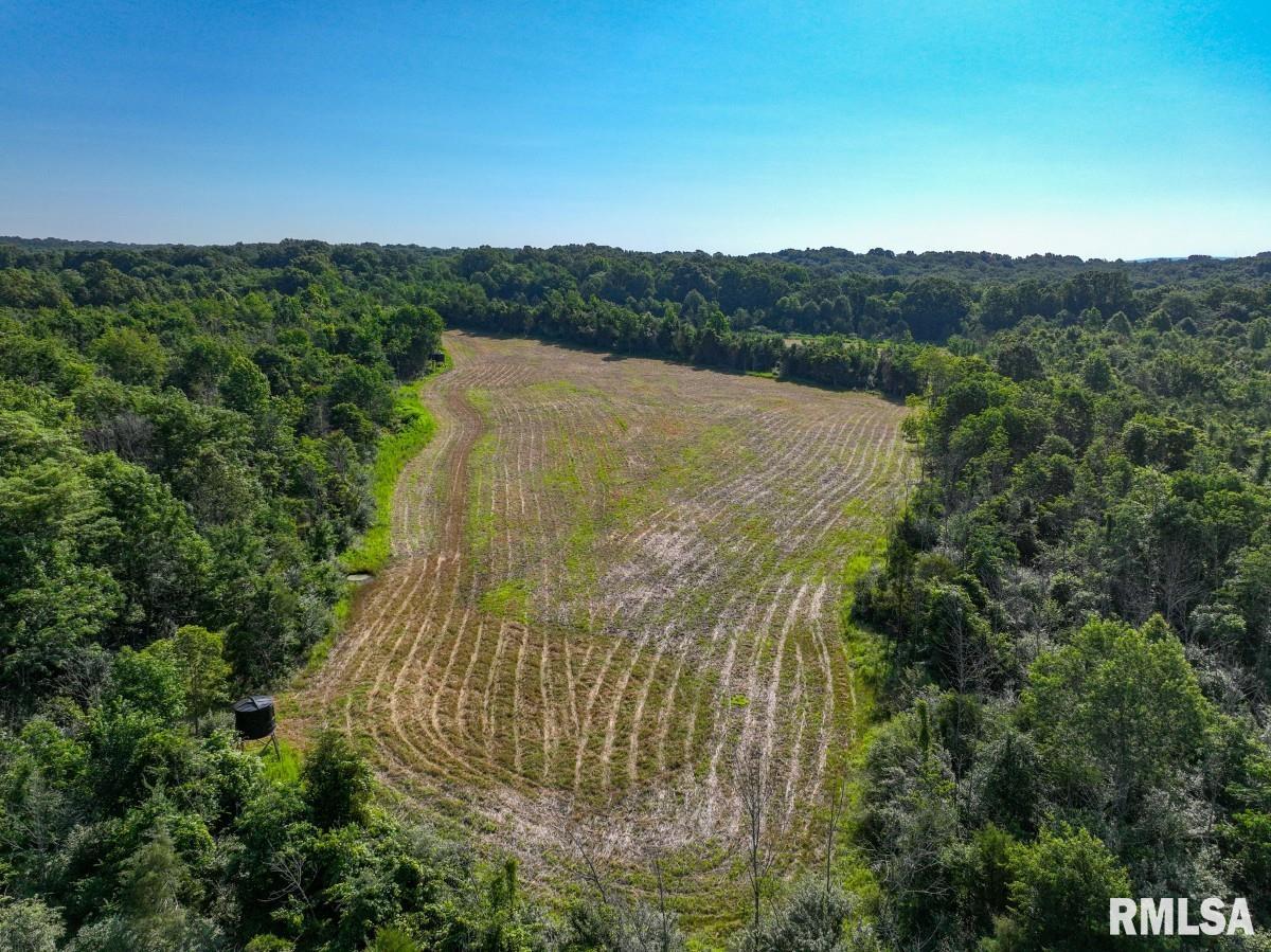 0 Tom Dick Hill Road Stonefort, IL 62987 - Photo 12 of 62