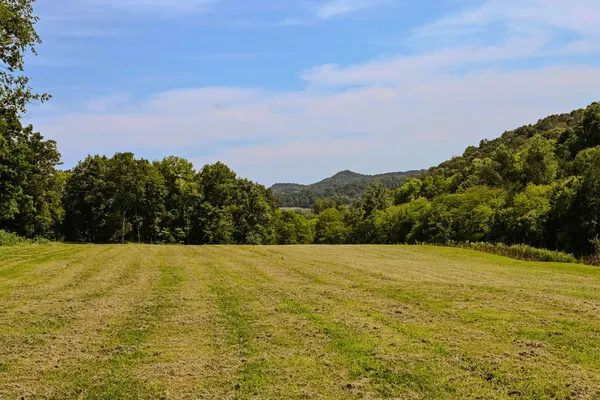 $899,000 | 0 John Donald Lane, Brush Creek, TN 38547