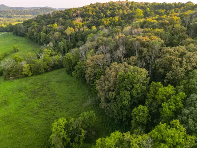$899,000 | 0 John Donald Lane, Brush Creek, TN 38547