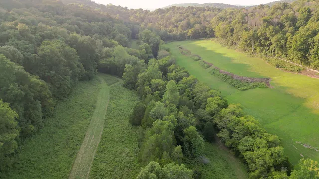 $899,000 | 0 John Donald Lane, Brush Creek, TN 38547