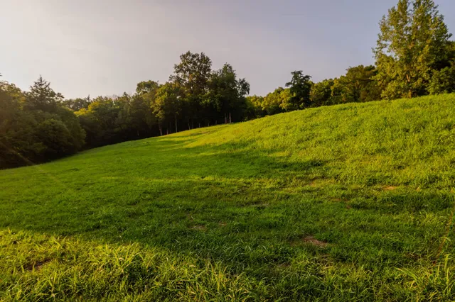 $899,000 | 0 John Donald Lane, Brush Creek, TN 38547