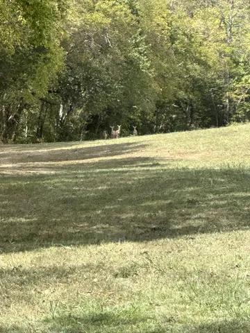 $899,000 | 0 John Donald Lane, Brush Creek, TN 38547