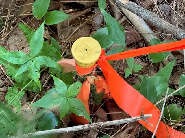 $37,000 | M2-l21-2 South Ridge Road, Palmyra, ME 04965