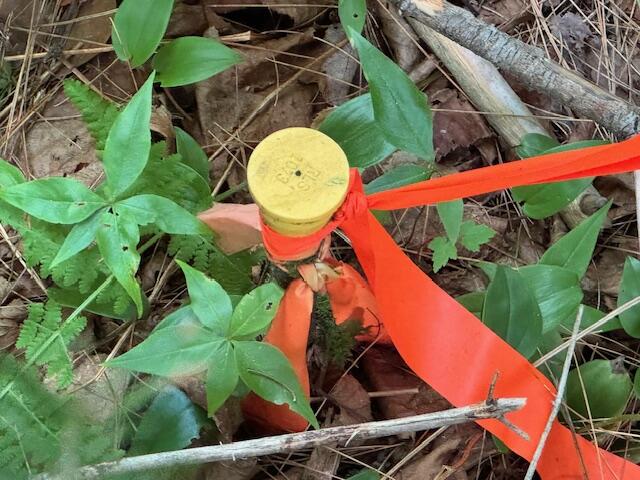 M2-l21-2 South Ridge Road Palmyra, ME 04965 - Photo 11 of 12 IMG_0197 (1)