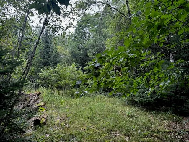 $37,000 | M2-l21-2 South Ridge Road, Palmyra, ME 04965