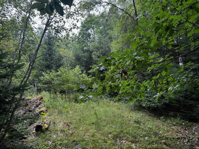 M2-l21-2 South Ridge Road Palmyra, ME 04965 - Photo 2 of 12 IMG_3178