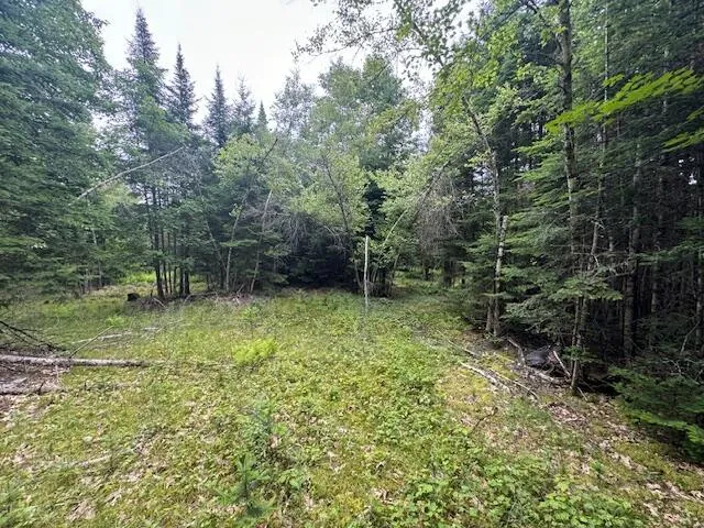 $37,000 | M2-l21-2 South Ridge Road, Palmyra, ME 04965