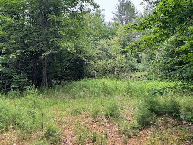 M2-l21-2 South Ridge Road Palmyra, ME 04965 - Photo 5 of 12 IMG_0198