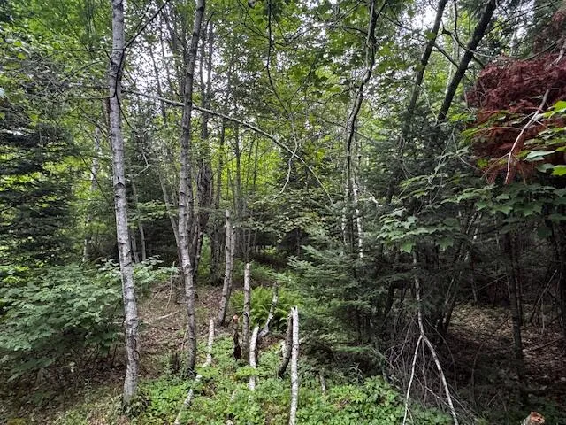 $37,000 | M2-l21-2 South Ridge Road, Palmyra, ME 04965