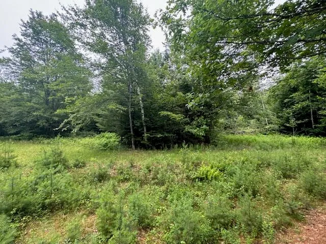 $37,000 | M2-l21-2 South Ridge Road, Palmyra, ME 04965