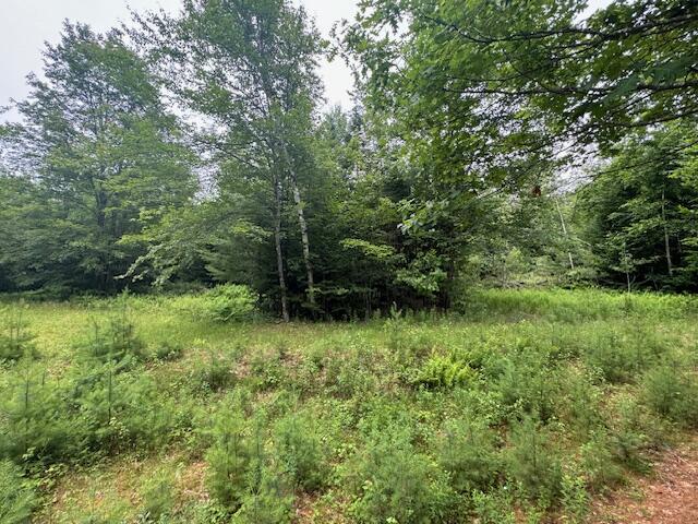 M2-l21-2 South Ridge Road Palmyra, ME 04965 - Photo 7 of 12 IMG_0200