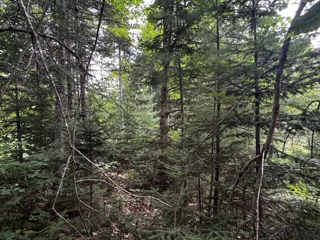 $37,000 | M2-l21-2 South Ridge Road, Palmyra, ME 04965