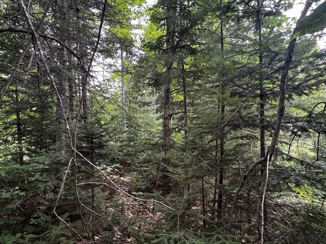 M2-l21-2 South Ridge Road Palmyra, ME 04965 - Photo 8 of 12 IMG_3179