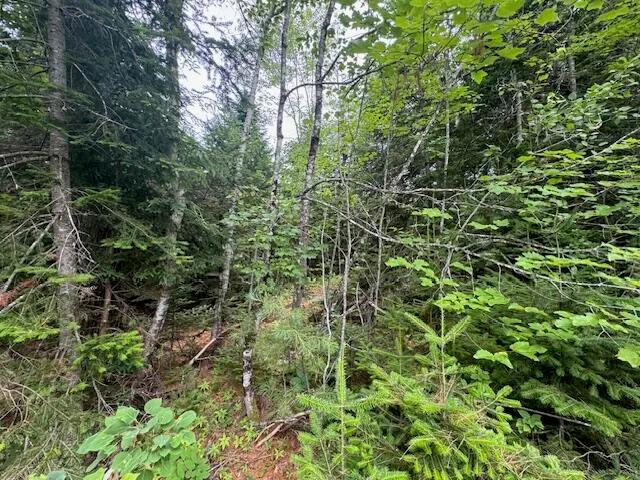 $37,000 | M2-l21-2 South Ridge Road, Palmyra, ME 04965