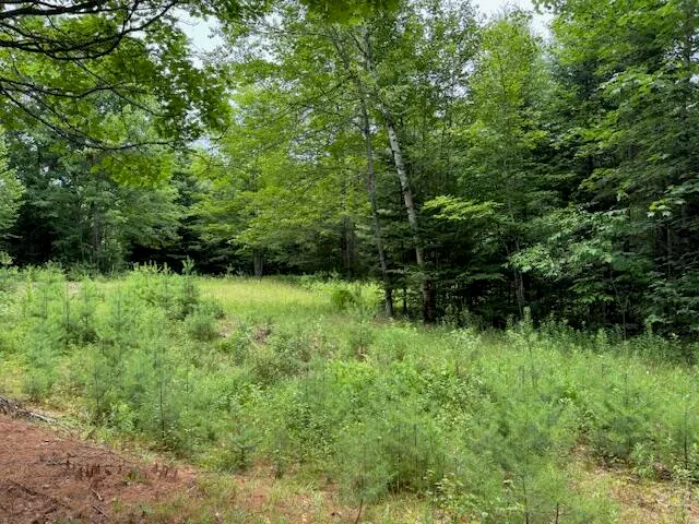 $37,000 | M2-l21-2 South Ridge Road, Palmyra, ME 04965