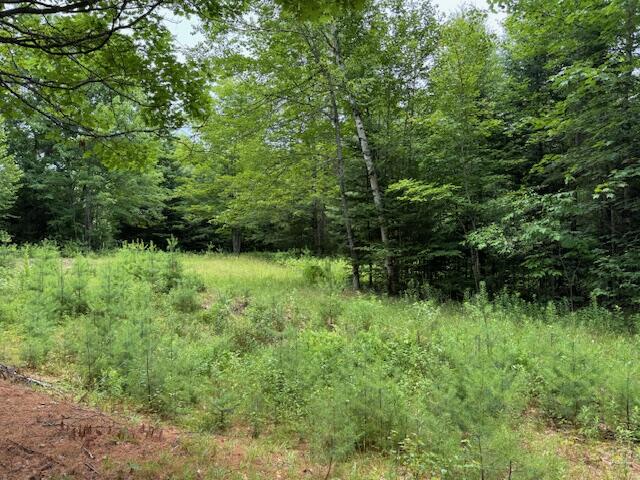 M2-l21-2 South Ridge Road Palmyra, ME 04965 - Photo 10 of 12 IMG_0199