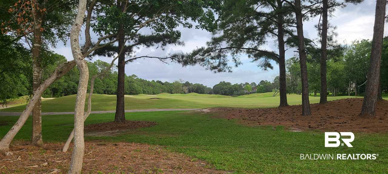4145 Craigend Loop Gulf Shores, AL 36542 - Photo 46 of 49