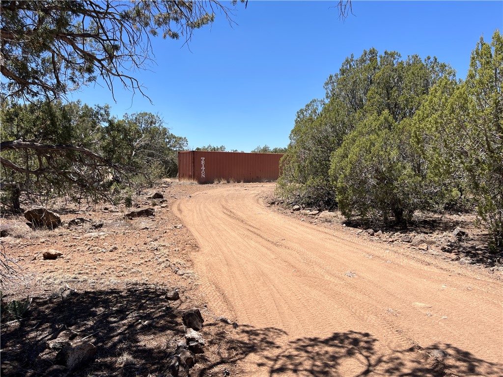 46675 North Edge Ridge Road Seligman, AZ 86337 - Photo 19 of 28