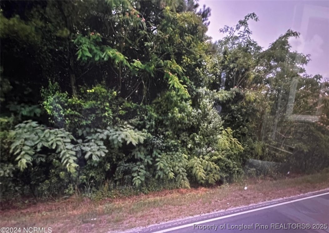 Tbd South Robeson Road Rowland, NC 28383 - Photo 3 of 4
