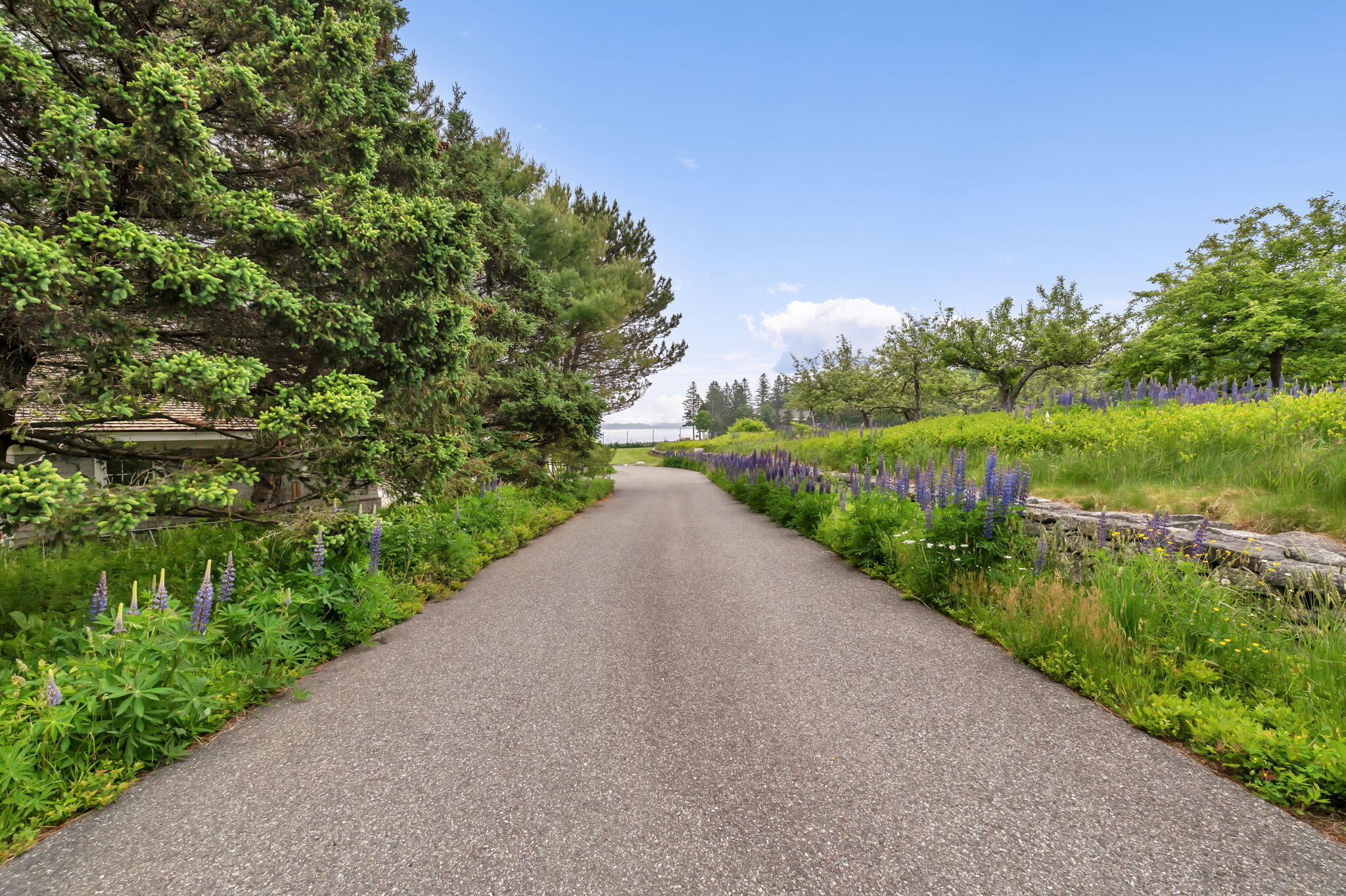 425 Seawall Road Southwest Harbor, ME 04679 - Photo 9 of 73 7-web-or-mls-425-seawall-rd 2